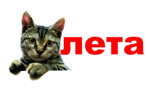 Котлета