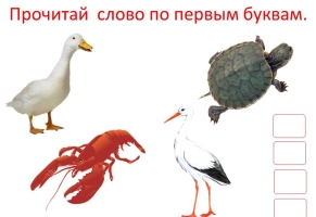 Грач