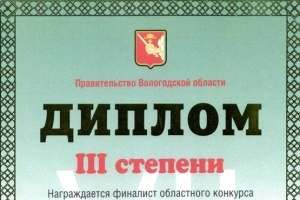 Вологодский предприниматель 2008